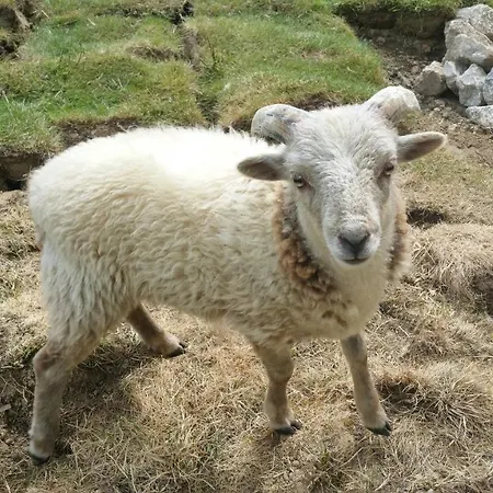 Semesterbostad Le Logis Du Prieure *