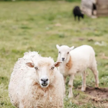 Le Logis Du Prieure Semesterbostad