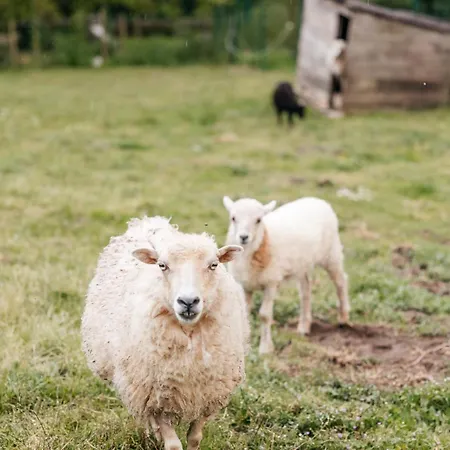 Le Logis Du Prieure Les Châtelliers-Châteaumur