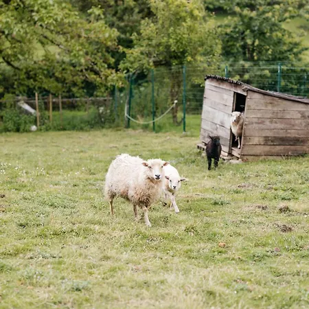 Hébergement de vacances Le Logis Du Prieure