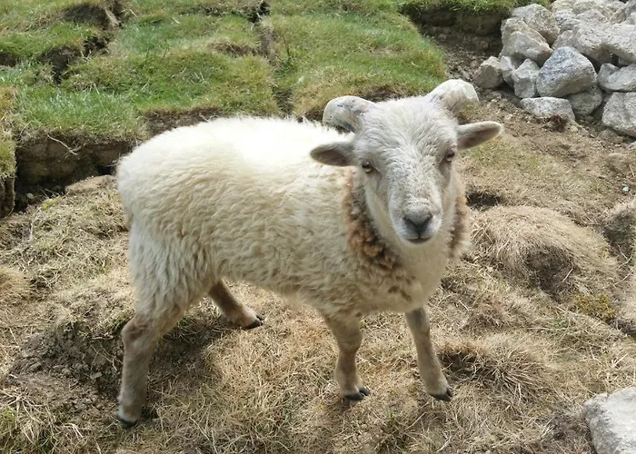 Hébergement de vacances Le Logis Du Prieure *