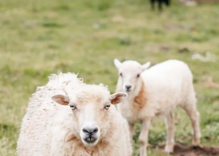 Le Logis Du Prieure Prázdninový dům