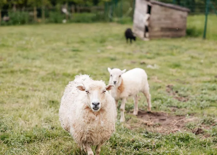 Le Logis Du Prieure Les Châtelliers-Châteaumur